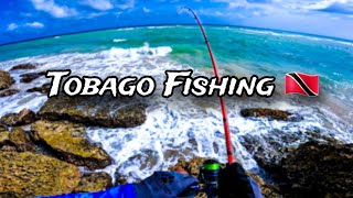 I Found A New Fishing Spot  Trinidad and Tobago Fishing 🇹🇹 [upl. by Macnair]