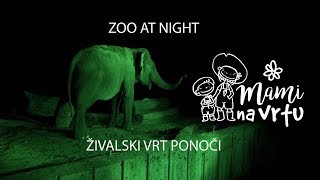 Živalski vrt ponoči  ZOO at night [upl. by Pammie55]