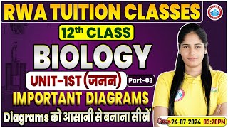 Class 12 Biology All Important Diagrams  Unit1st जनन  Diagrams बनाना सीखें चुटकियों में [upl. by Briny62]