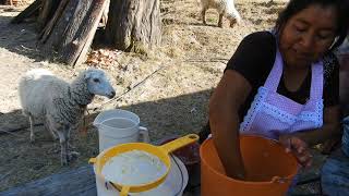 Atole De Granillo  Proceso Completo  Al Sazon De Rancho Oaxaqueña [upl. by Elokin131]