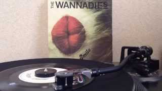 The Wannadies  This Time 7inch [upl. by Ylek61]