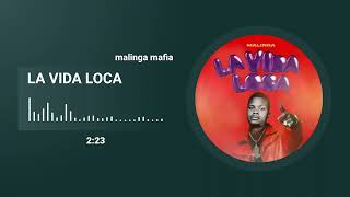 malinga mafia  la vida loca official mp3 [upl. by Alekahs753]