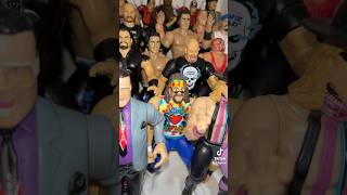 Mick Foley wwe wwewrestler allwrestlingfigures wwesuperstar wwefan wwefigures wrestler [upl. by Deckert930]