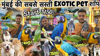 Start ₹150😱 सबसे सस्ती शॉप  Animals  Birds  cheapest Pet market in Mumbai  Wajid pet shop [upl. by Asirb]