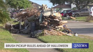 Brush pickup rules ahead of Halloween [upl. by Marella]