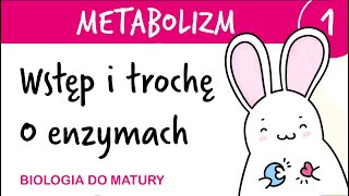 Metabolizm 1  Informacje ogólne i trochę o enzymach  biologia do matury liceum rozszerzona [upl. by Ehud]