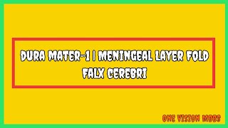 Dura Mater1  Maningeal layer fold  falx cerebri [upl. by Leile255]