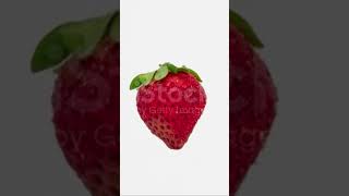 Rotting strawberry timelapse [upl. by Tekcirk222]