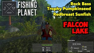 Rock Bass Trophy Pumpkinseed Redbreast Sunfish Falcon Lake  Fishing Planet [upl. by Zacharia338]