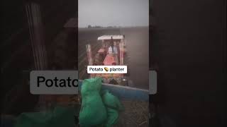 Potato planter working video [upl. by Lubbi]