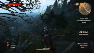 The Witcher 3 Wild Hunt  Animal Compilation [upl. by Aylward]