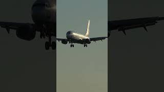 sunexpress 737 close up arrival aviation planespotting planes [upl. by Aleinad]