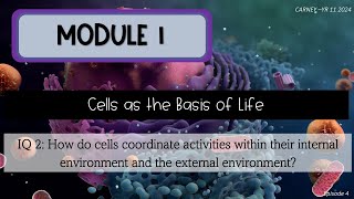 Module 1 Episode 4 Enzymes [upl. by Ludwig899]