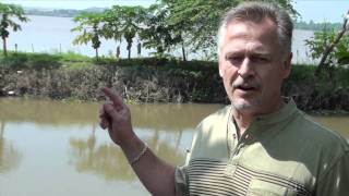 3 Minute Market Insight  Episode 7  Vietnam Pangasius Fish Farms [upl. by Ajnat144]