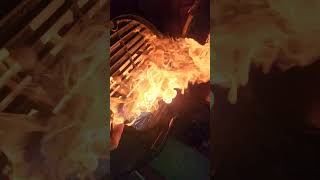 BBq flame up song [upl. by Nnybor885]