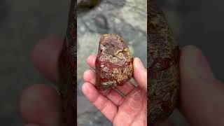 球顆流紋岩？ condylar rhyolite？condylar rhyoliteshorts jaspercondylar rhyolite石拾いジャスパー [upl. by Rj]