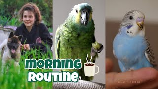 Morning routine ☀ Caring for 40 pets [upl. by Eniarol]