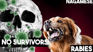 RABIES  NAGAMESE NAGALAND [upl. by Eduam]