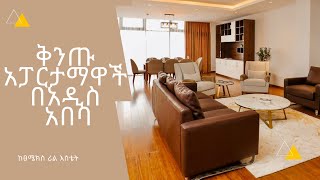 Luxury Apartment Tour In Addis Ababa Tsemex Real Estate [upl. by Naillimixam]