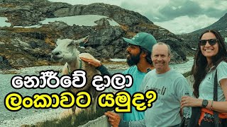 දැකල තියෙනවද මේ වගේ පාරක් ලංකාවේ 18 වංගුවද Norway Trollstigen ද [upl. by Martinson]