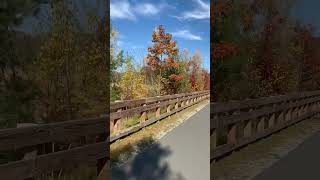 Rail trailDirect from the cooks kitchen fypシ゚viral falltime fallday railtrail [upl. by Haidej488]