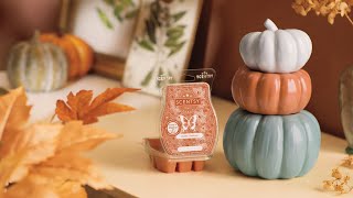 SCENTSY October Warmer of the Month  Color Me Pumpkin [upl. by Katzen]