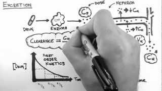 Pharmacokinetics 5  Excretion [upl. by Analihp875]