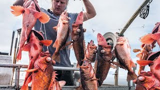 Amazing Longline Fishing By Hand Catch Many Fish That live on The Sea [upl. by Puglia]