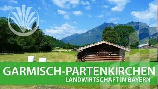 Landwirtschaft in Bayern Landkreis Garmisch  Partenkirchen in Oberbayern [upl. by Attelrak992]