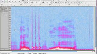 How to View the Spectrum in Audacity [upl. by Neomah438]