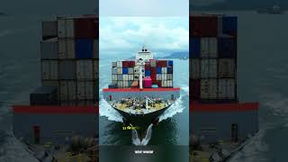 The True Cost of Running a Cargo Ship shorts shortvideo facts [upl. by Nylhsoj]