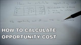 How to calculate opportunity costs [upl. by Adnim]