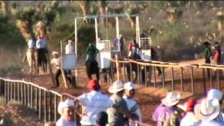 carreras de caballos en RANCHO GRANDE zacatecas [upl. by Notlit992]