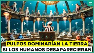 Los pulpos dominarían el mundo si el humano no existiera [upl. by Ardnauq130]