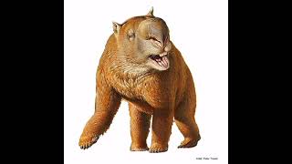 Diprotodongiant wombats reconstruction sounds [upl. by Fairman676]