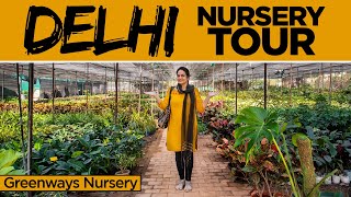 Delhi Nursery TourOctober 2021  Greenways Nursery  Biggest nursery in North India [upl. by Nonad]