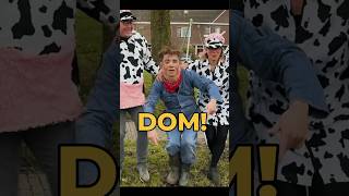 Dansie Geet Dom 🐔 Vrijdag 1300 videoclip dansiegeetdom boerentrots boerharm [upl. by Neelyhtak644]