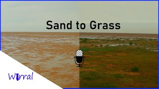 Green Green Grass of Hoylake Beach podcast [upl. by Ithsav]