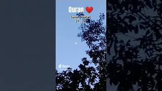 Al Quran surah kahaf ayat 2728 qurantranslationwordbyword qurantranslationwordbyword [upl. by Englis]