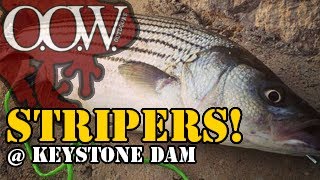 Striped Bass Fishing  Keystone Dam  OOW Outdoors [upl. by Ariahaj]