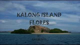 Kalong Island Flores Indonesia [upl. by Larok]