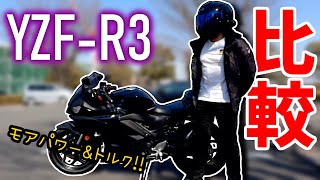 【YZFR3】R25と比較したら全然違う中型バイクだった【モトブログ】 [upl. by Alah818]