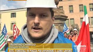 31032015  FORESTALI IN PIAZZA A ESTE PER DIFENDERE IL LORO LAVORO [upl. by Elbring]