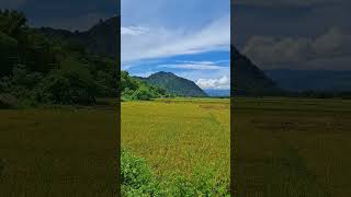 Sa Tarlac lang naman to scenicview lubigansanjose nature relaxing shorts [upl. by Mohun527]