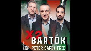 Peter Sarik Trio X2 Bartók [upl. by Kronick]