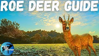 Where to hunt red deer in Hirschfelden theHunter Call Of The Wild [upl. by Dumond565]