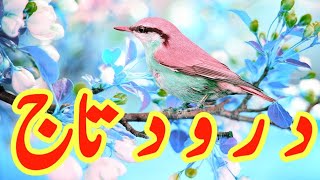 Daily Darood e Taj  beautiful voice Darood Taj  Darood Sharif  by Imtiaz Ahmad  Ep039 [upl. by Anayi928]