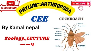 Phylum Arthropodalexture4Cee best lecture with notes and information [upl. by Aseela]