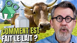 🐮Comment la vache faitelle du lait  🥛 [upl. by Holton]