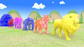 Paint Animals Crossing Fountain Game with Elephant Gorilla Tiger Bear TRex 2024 [upl. by Syned]